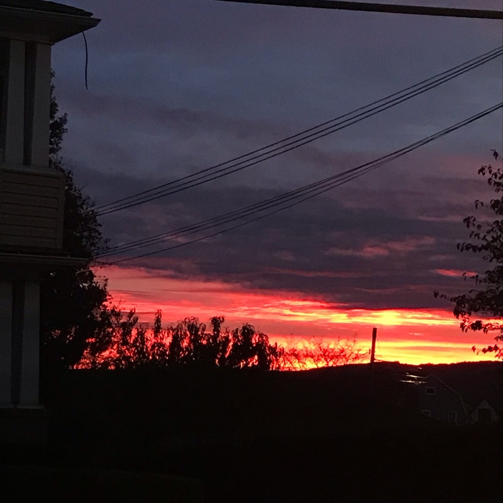 Meet your Posher, Jazmin